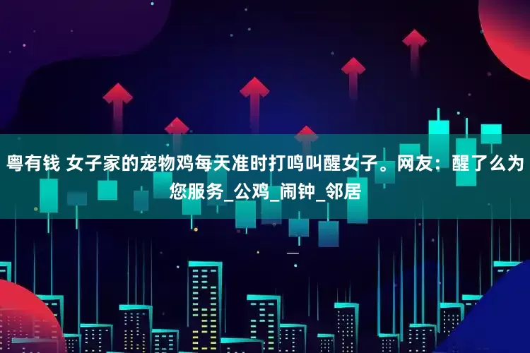 粤有钱 女子家的宠物鸡每天准时打鸣叫醒女子。网友：醒了么为您服务_公鸡_闹钟_邻居
