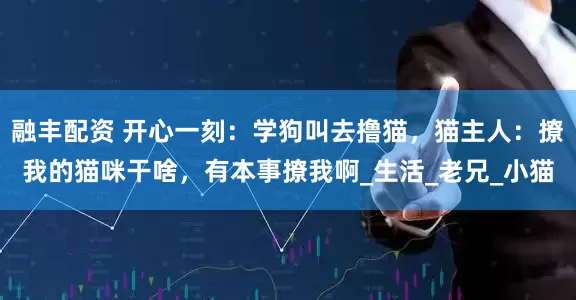 融丰配资 开心一刻：学狗叫去撸猫，猫主人：撩我的猫咪干啥，有本事撩我啊_生活_老兄_小猫