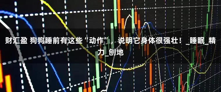 财汇盈 狗狗睡前有这些“动作”，说明它身体很强壮！_睡眠_精力_刨地