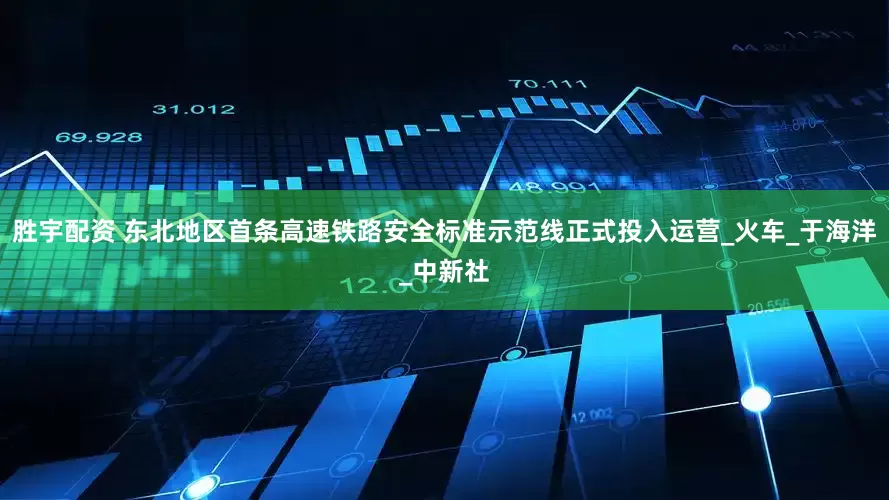 胜宇配资 东北地区首条高速铁路安全标准示范线正式投入运营_火车_于海洋_中新社