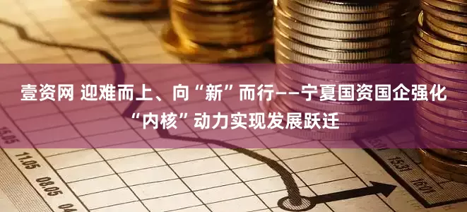 壹资网 迎难而上、向“新”而行——宁夏国资国企强化“内核”动力实现发展跃迁