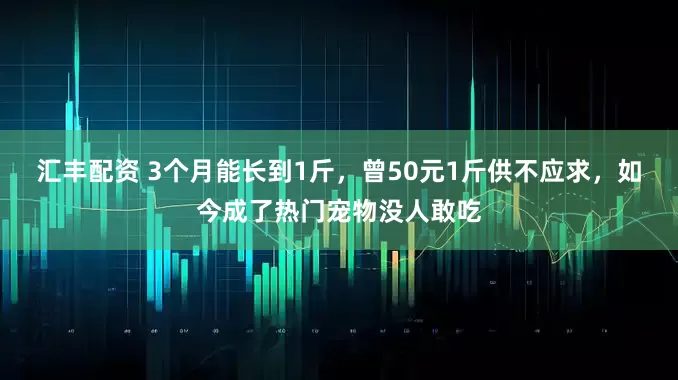 汇丰配资 3个月能长到1斤，曾50元1斤供不应求，如今成了热门宠物没人敢吃